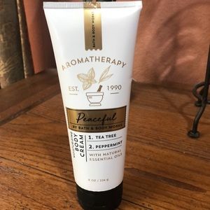 Bath and Body Works Tea Tree Peppermint
